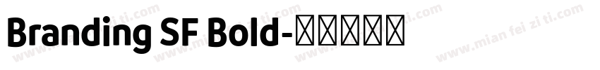 Branding SF Bold字体转换